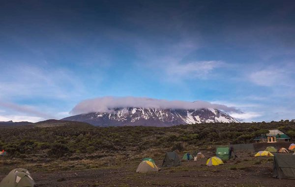 Kilimanjaro top view snows, the highest mountain in Africa