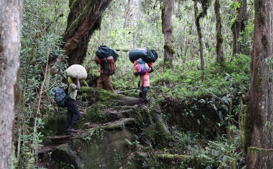 machame 1 (2)