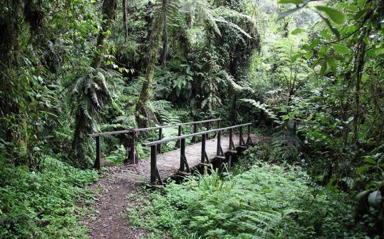 machame 3 (2)