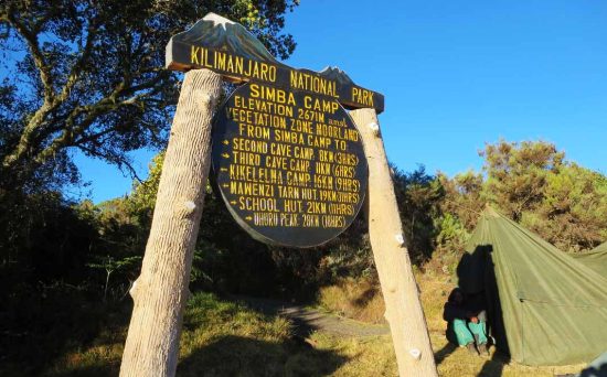 rongai simba camp