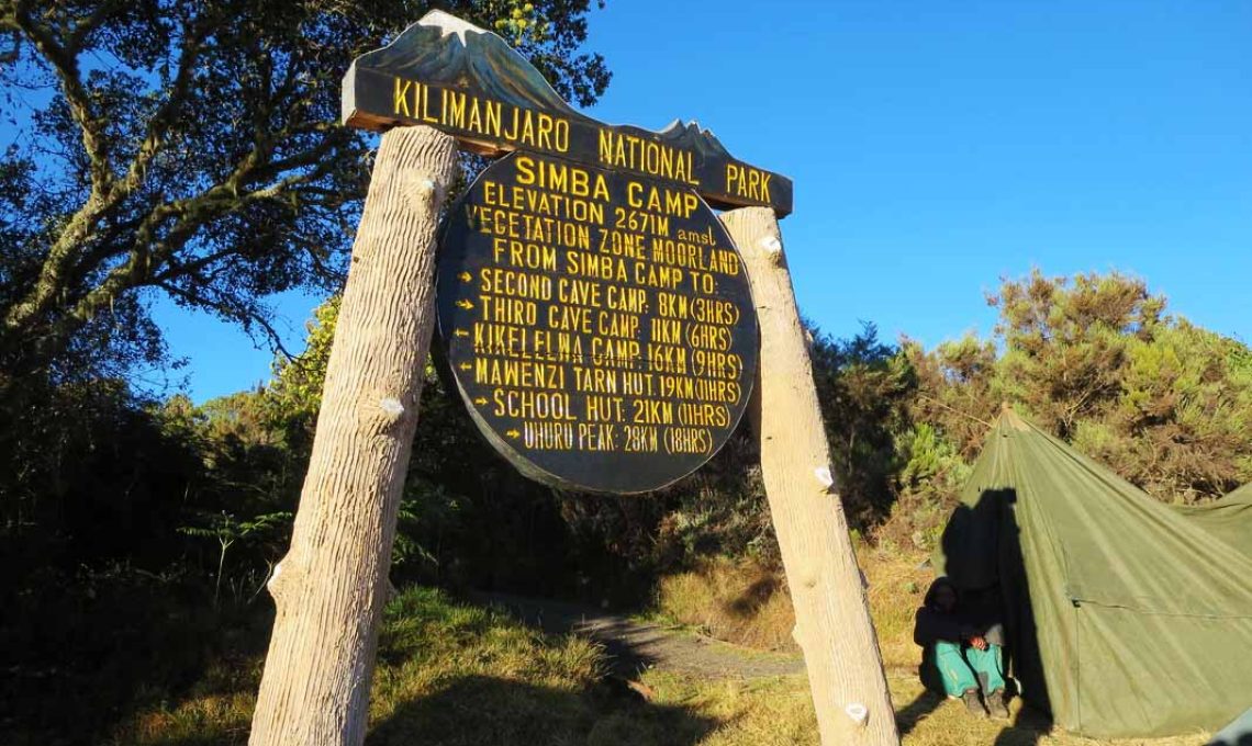 rongai simba camp