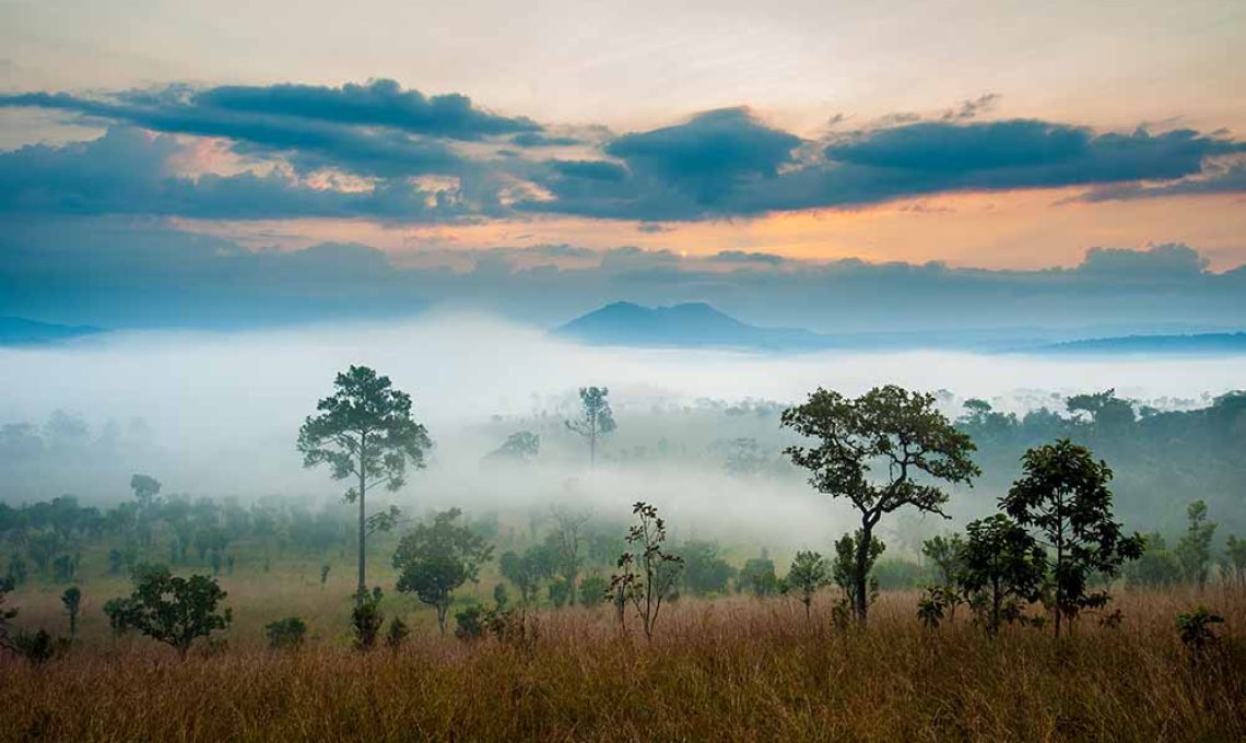 serengeti 3