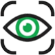 vision